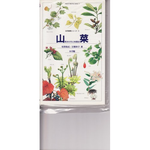 山菜: 見分け方と料理法 (自然観察シリーズ 11) 牧野 晩成; 甘糟 幸子