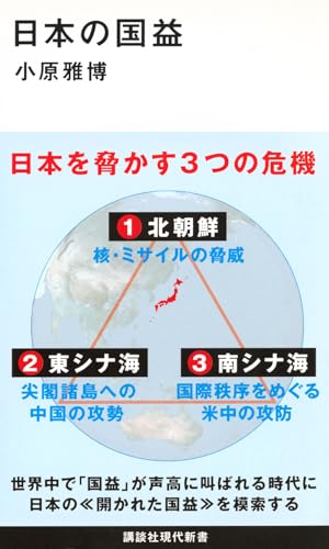 日本の国益 (講談社現代新書 2494) 小原 雅博