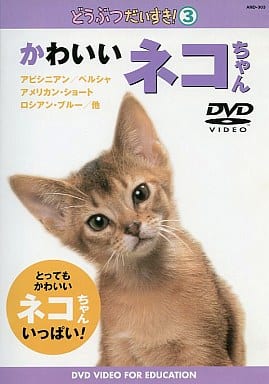 どうぶつだいすき!3 かわいいネコちゃん
