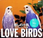 Love Birds 癒しの小鳥