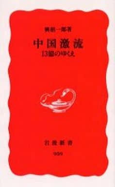 中国激流: 13億のゆくえ (岩波新書 新赤版 959) 興梠 一郎