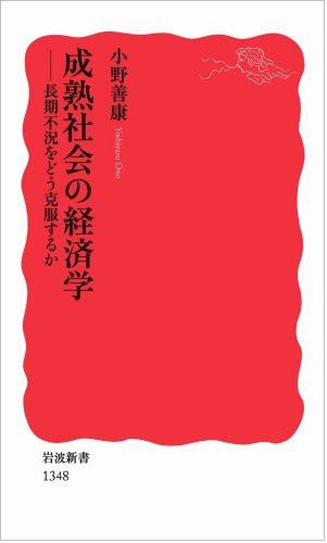 成熟社会の経済学――長期不況をどう克服するか (岩波新書) 小野 善康