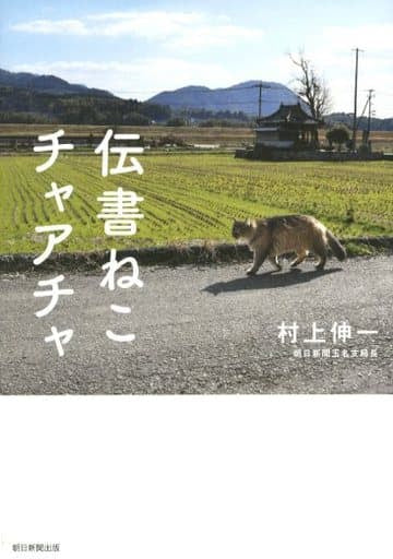 伝書ねこ チャアチャ 村上伸一
