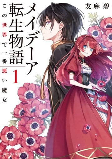 メイデーア転生物語 1 この世界で一番悪い魔女 (富士見L文庫) 友麻碧; 雨壱 絵穹