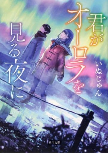 君がオーロラを見る夜に (角川文庫) いぬじゅん
