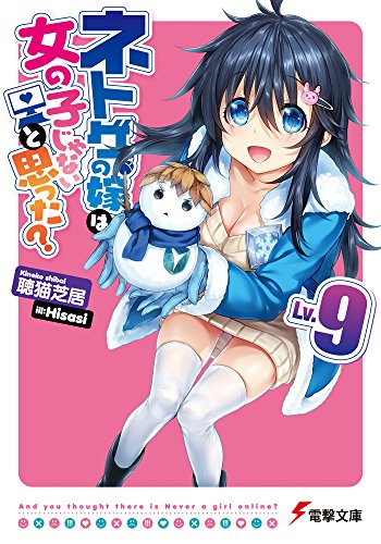 ネトゲの嫁は女の子じゃないと思った Lv.9 (電撃文庫) 聴猫 芝居; Hisasi