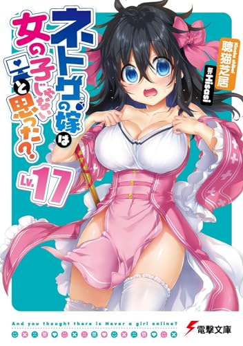 ネトゲの嫁は女の子じゃないと思った Lv.17 (電撃文庫) 聴猫 芝居; Hisasi