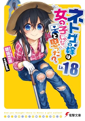 ネトゲの嫁は女の子じゃないと思った Lv.18 (電撃文庫) 聴猫 芝居; Hisasi