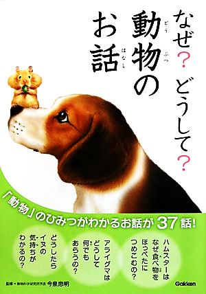 なぜどうして動物のお話 忠明, 今泉