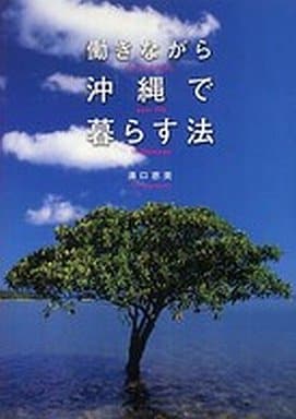 働きながら沖縄で暮らす法 溝口 恵美