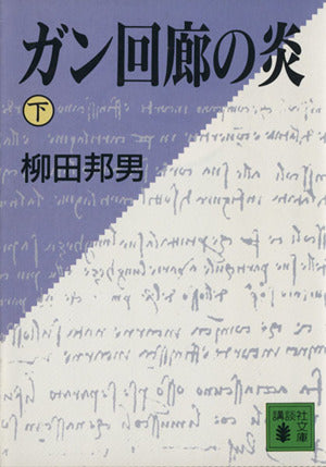 ガン回廊の炎 下 (講談社文庫 や 2-19) 柳田 邦男