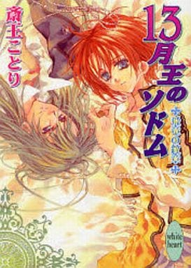 13月王のソドム 飛竜の紋章 (講談社X文庫 ホワイトハート) 斎王 ことり; 凱王 安也子