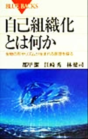 自己組織化とは何か: 生物の形やリズムが生まれる原理を探る (ブルーバックス 1277) 都甲 潔