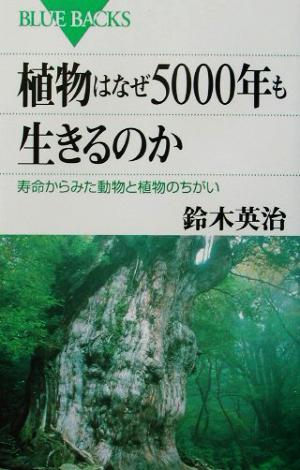 植物はなぜ5000年も生きるのか―寿命からみた動物と植物のちがい (ブルーバックス) 鈴木 英治