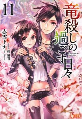 竜殺しの過ごす日々 11 (ヒーロー文庫) 赤雪 トナ; 碧 風羽