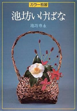 カラー独習池坊いけばな 池坊 専永