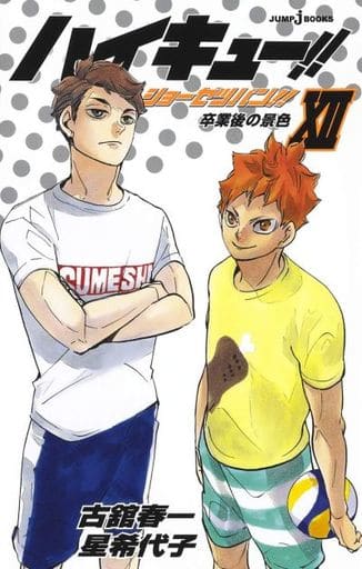 ハイキュー!! ショーセツバン!! 12 (JUMP j BOOKS) 星 希代子; 古舘 春一