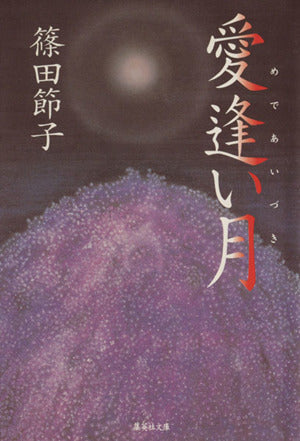 愛逢い月 (集英社文庫) 篠田 節子