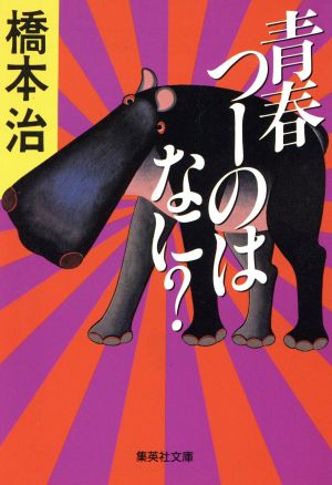 青春つーのはなに (集英社文庫) 橋本 治