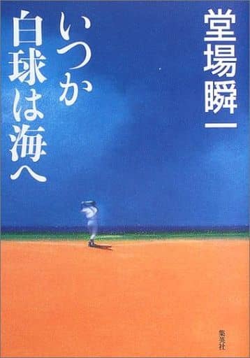 いつか白球は海へ 堂場 瞬一