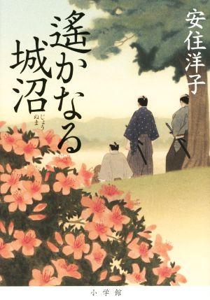 遙かなる城沼 安住 洋子