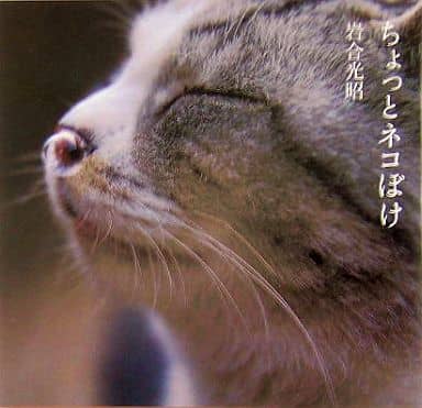ちょっとネコぼけ 岩合 光昭