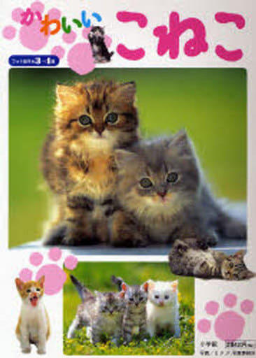 かわいいこねこ (フォト絵本) U.F.P写真事務所