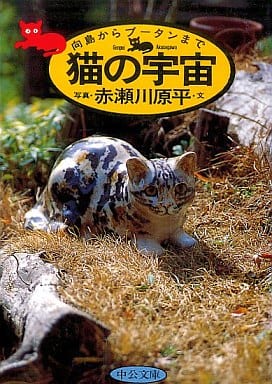 猫の宇宙: 向島からブータンまで (中公文庫 あ 11-4) 赤瀬川 原平