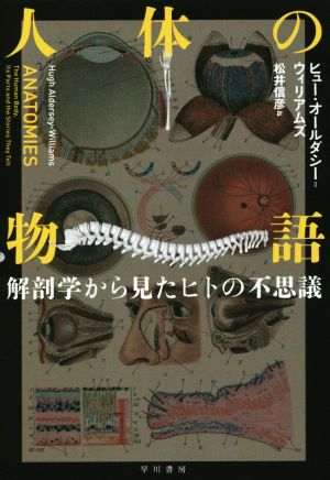 人体の物語: 解剖学から見たヒトの不思議 ヒュー オールダシー=ウィリアムズ Aldersey‐Williams,Hugh; 信彦, 松井