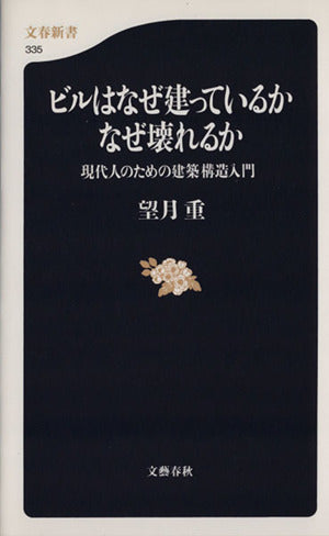 ビルはなぜ建っているかなぜ壊れるか-現代人のための建築構造入門 (文春新書 335) 望月 重