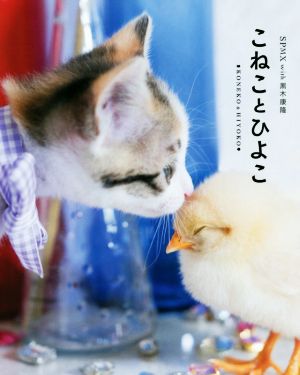 こねことひよこ SPMX with 黒木 康隆