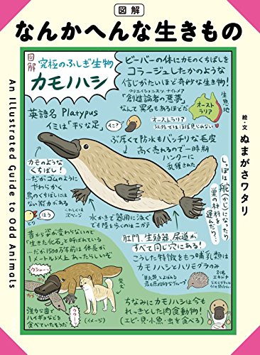 図解 なんかへんな生きもの ぬまがさワタリ(絵・文)