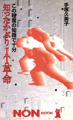 知ったかぶりIT革命: この程度の知識で十分 (ノン・ブック 418) 手塚 久美子