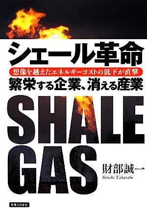シェール革命 繁栄する企業、消える産業 財部 誠一