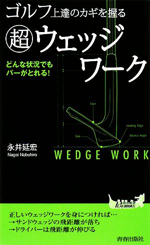 ゴルフ上達のカギを握る「超」ウェッジワーク (青春新書PLAY BOOKS) (プレイブックス 896) 永井 延宏