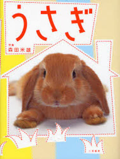 うさぎ 森田 米雄