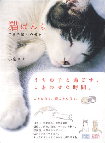 猫ぱんち: 二匹の猫との暮らし 小泉 さよ