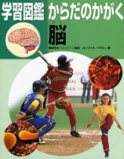 脳 (学習図鑑からだのかがく) ルーファス ベラミー 亮太, 細谷; Bellamy,Rufus