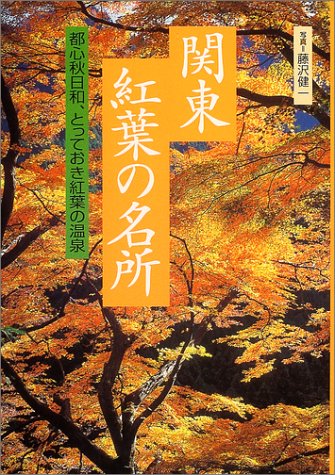 関東紅葉の名所 (花紀行) 藤沢 健一