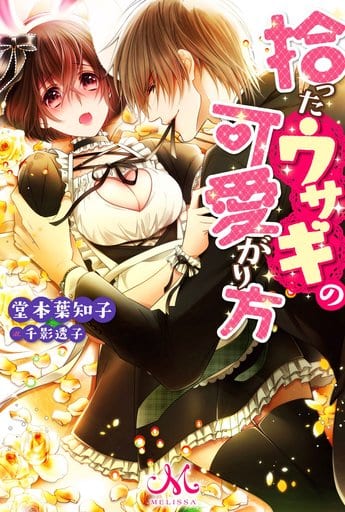 拾ったウサギの可愛がり方 (メリッサ) 堂本 葉知子; 千影 透子