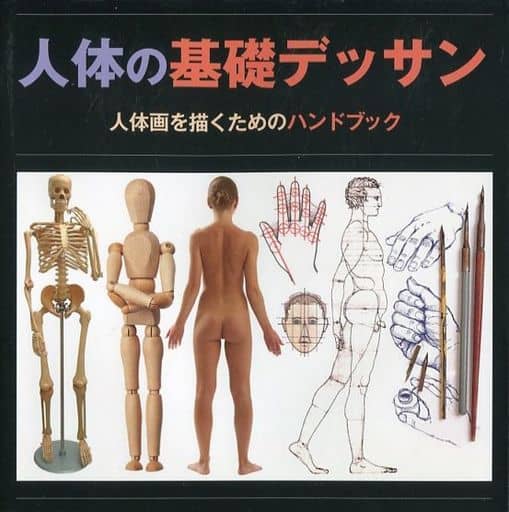 人体の基礎デッサン サイモン・ジェニングス