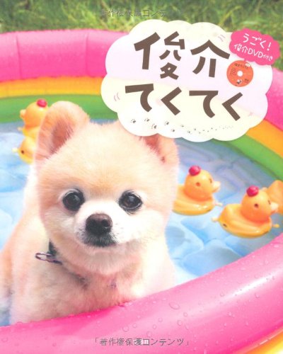 俊介てくてく うごく! 俊介DVD付き
