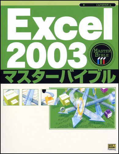 Excel2003マスターバイブル C&R研究所