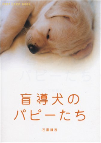盲導犬のパピーたち (新風舎文庫 POST CARD BOOK) 石黒 謙吾