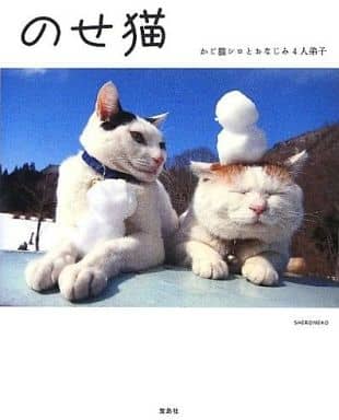 のせ猫 かご猫シロとおなじみ4人弟子 SHIRONEKO