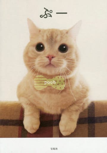 ぷー pooh