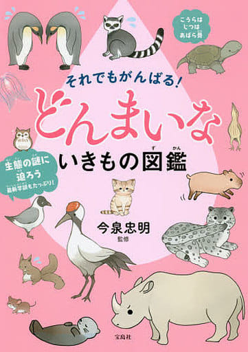 それでもがんばる! どんまいないきもの図鑑 今泉 忠明