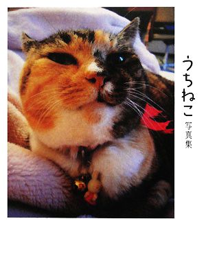 うちねこ写真集 北國新聞社出版局