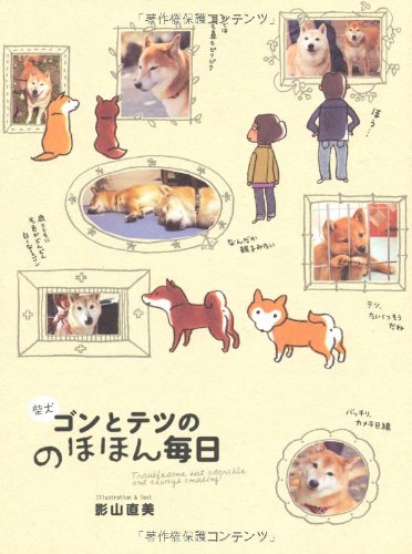 柴犬ゴンとテツののほほん毎日 影山 直美
