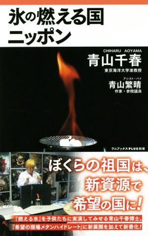 氷の燃える国ニッポン (ワニブックスPLUS新書) 青山千春; 青山繁晴